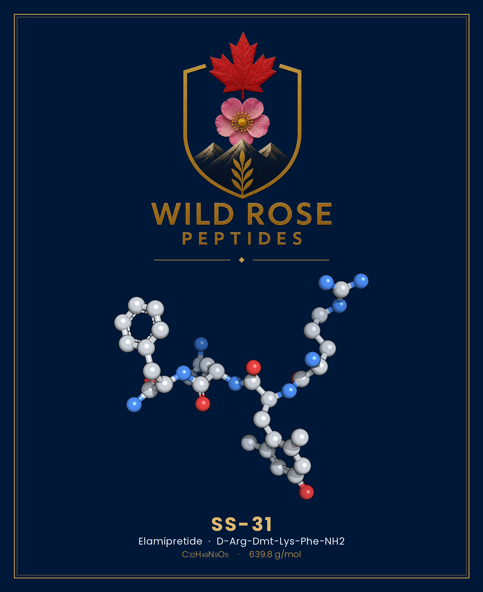 SS-31 3D molecular structure rendering